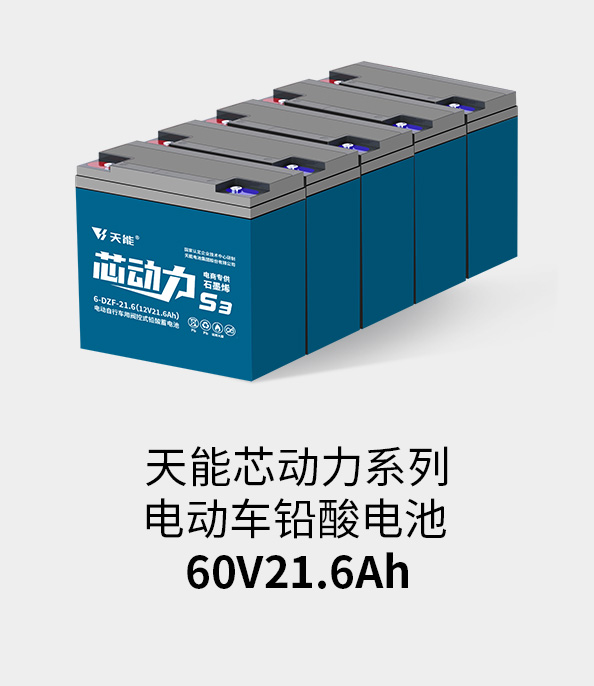 尊龙凯时(中国区)人生就是搏!电池60v20ah