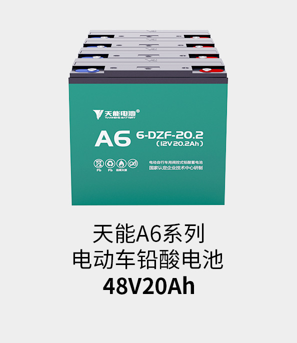 尊龙凯时(中国区)人生就是搏!电池48v20ah