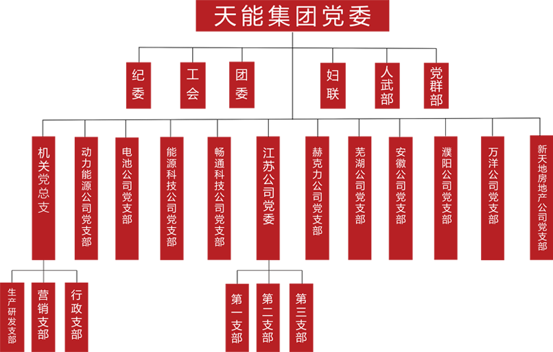 尊龙凯时(中国区)人生就是搏!建团党委组织架构